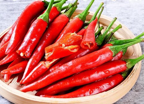 尖椒种植时间和方法