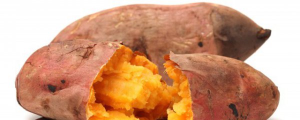 地瓜是凉性还是热性