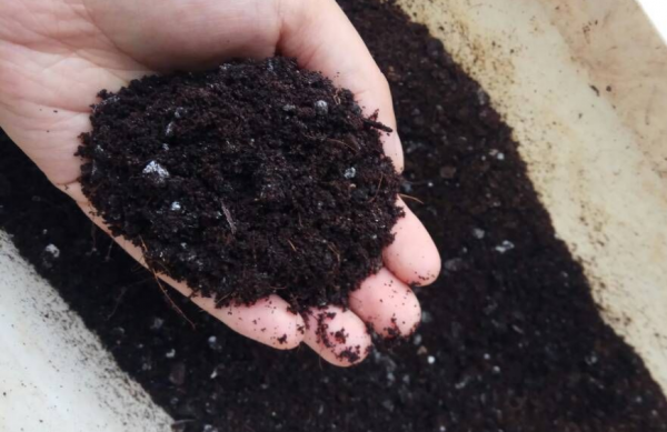 家庭养花自制花肥29种方法