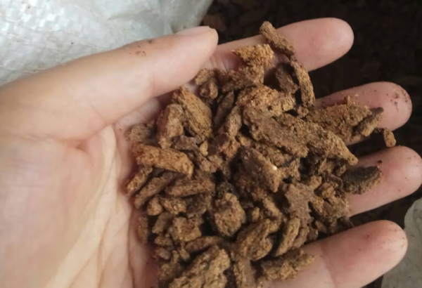 家庭养花自制花肥29种方法