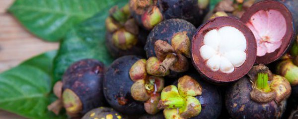 山竹冬天保存方法