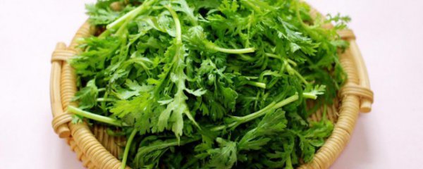 怎样家常炒茼蒿好吃