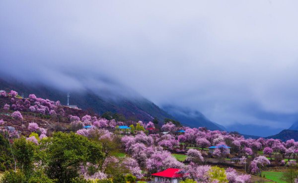 林芝必去的十大景点有哪些地方