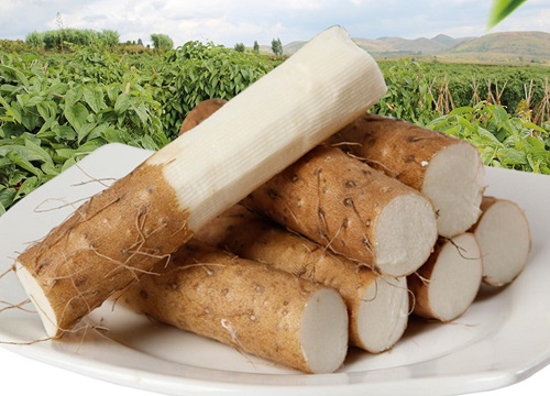 山药是酸性还是碱性食物