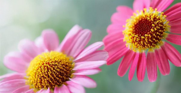 金牛男狠心绝情怎么挽回