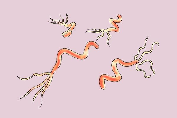 老人斑只有老人会长吗