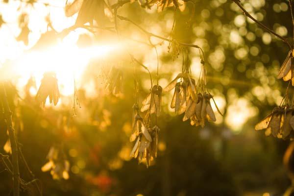 老人斑只有老人会长吗