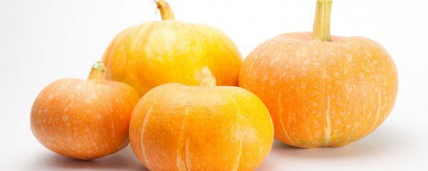 南瓜不能和什么一起吃吗