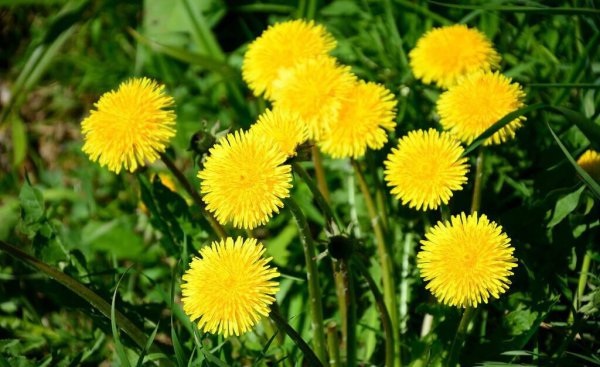 一个女人喜欢你的表现有哪些