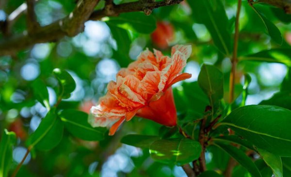 一个女人喜欢你的表现有哪些