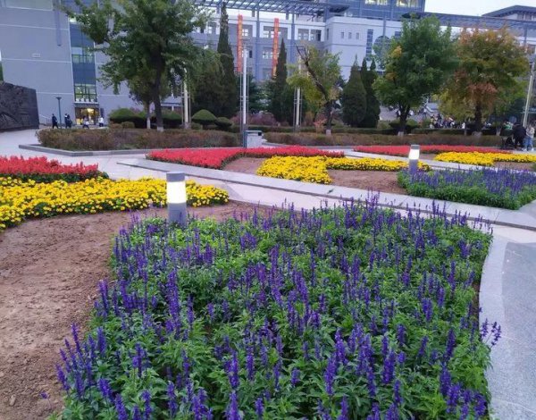 辽宁科技大学在哪个城市