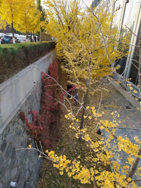 辽宁科技大学在哪个城市