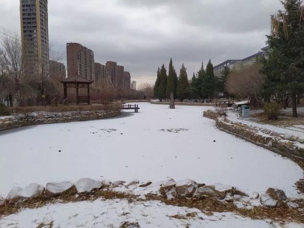 辽宁科技大学在哪个城市