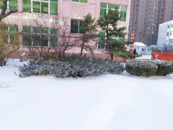 辽宁科技大学在哪个城市