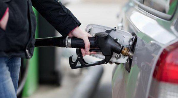 懂车的人都会买什么车