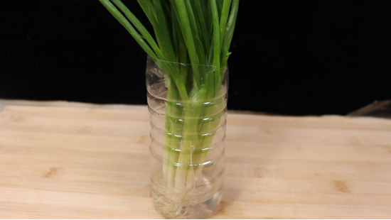 小葱如何保存时间最长