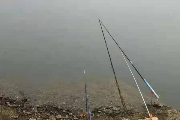 黑鱼怎么钓才容易上钩