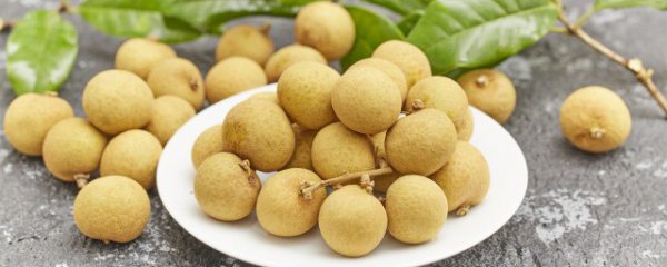 广西龙眼产地在哪里