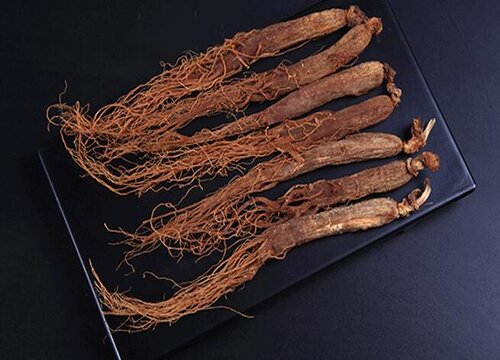 人参和什么不能一起吃