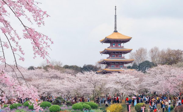 武汉有多大面积