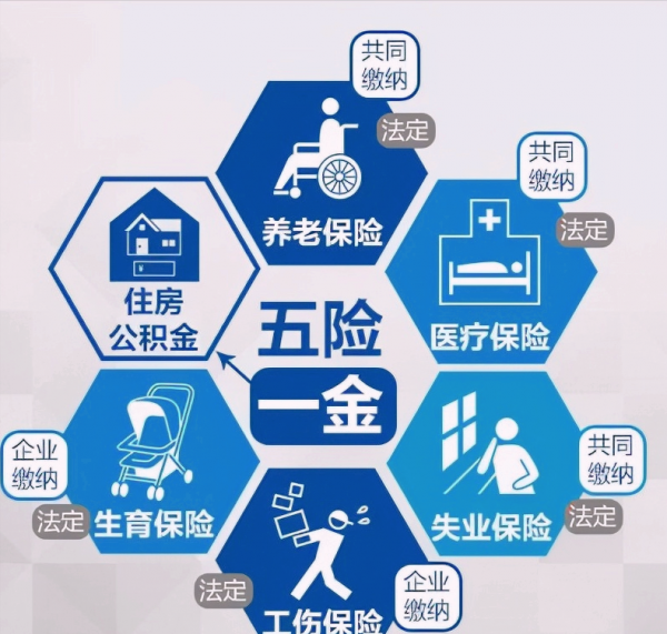 5险一金是哪5险一金