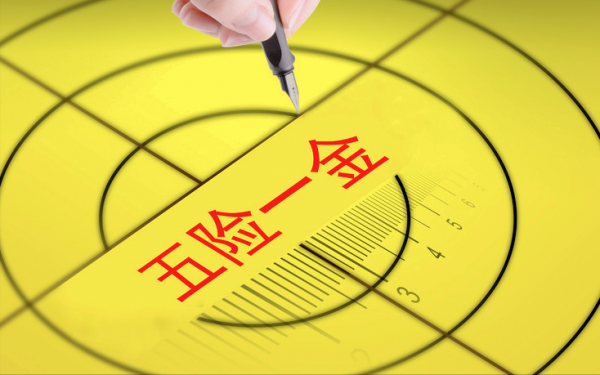 5险一金是哪5险一金