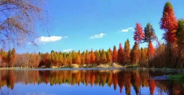 昆明有什么好玩的地方景点