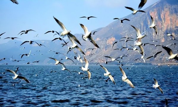 昆明有什么好玩的地方景点