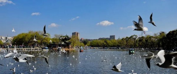 昆明有什么好玩的地方景点