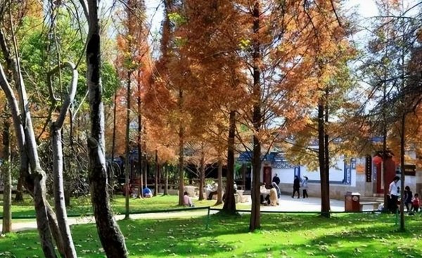 昆明有什么好玩的地方景点