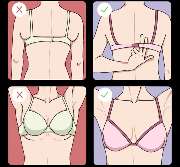 怎么量胸围确定罩杯大小图片