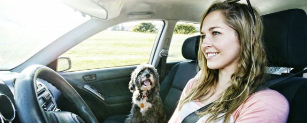 冬天汽车多久不开轮胎