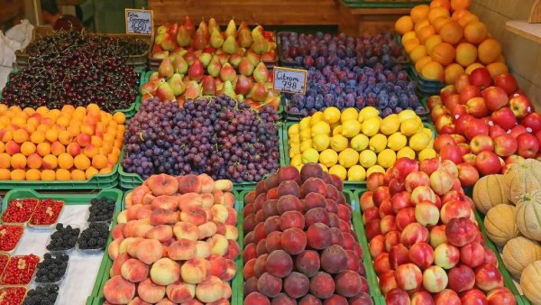 年底什么行业最赚钱