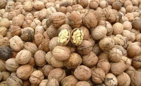 山东省枣庄特产值得带回去