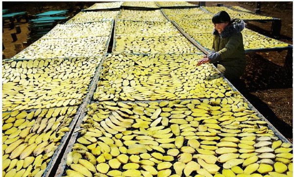 山东省枣庄特产值得带回去