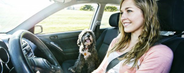 冬天汽车怎么启动暖风