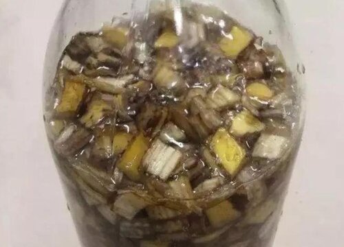 香蕉皮肥水如何发酵无异味