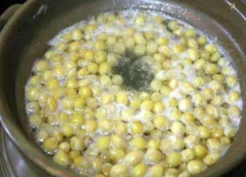 如何用黄豆制作肥水肥力暴增