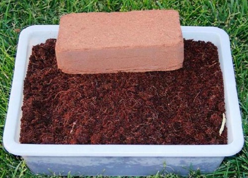 椰子壳可以做肥料吗