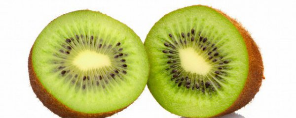 猕猴桃最佳防虫方法