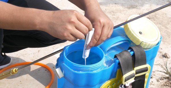 赤霉素的作用和使用方法