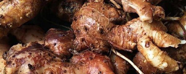 山姜头煲汤有什么功效