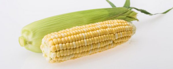 怎么挑玉米