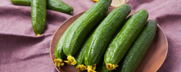 凉拌黄瓜过夜可以吃吗