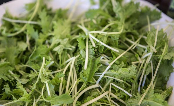 哪些蔬菜可以做蔬菜沙拉