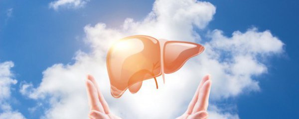 肝虚吃什么食物能补