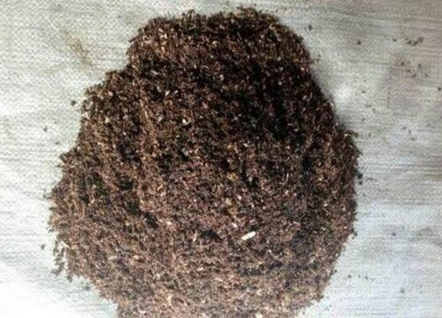 草木灰可以直接拌土养花吗