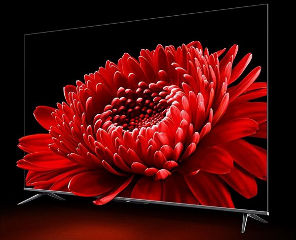 全国十大电视排行榜