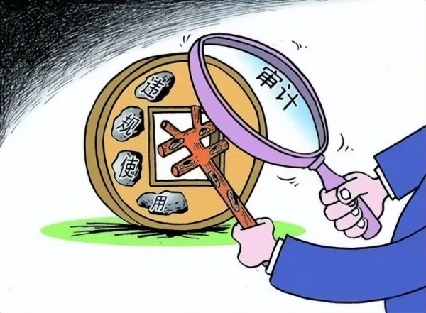 审计学专业都学什么