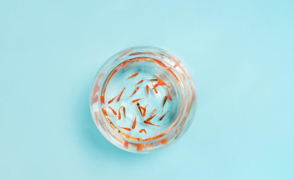 小鱼喂食多久喂一次